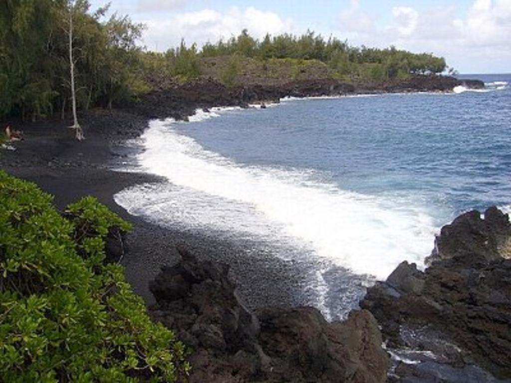 Kehena Coconut Palms Vacation Rental Near Lava Fields And Beaches מראה חיצוני תמונה